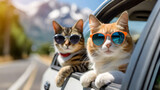 Funny portrait of cat and dog in sunglasses in the car on road trip. Travel concept