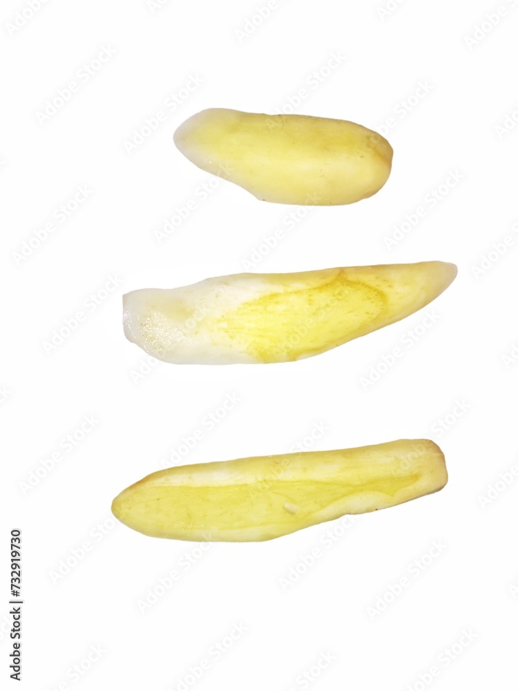 cucumber isolated on white background cucumber isolated on white background
