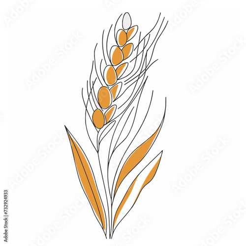 Elegant line drawing of summer wheat. Illustration for invites and cards