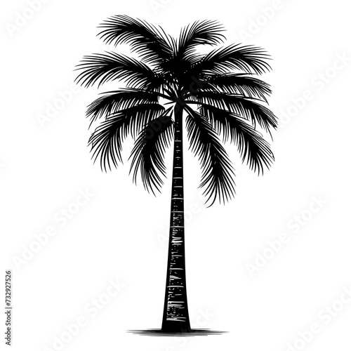 Silhouette palm dates black color only