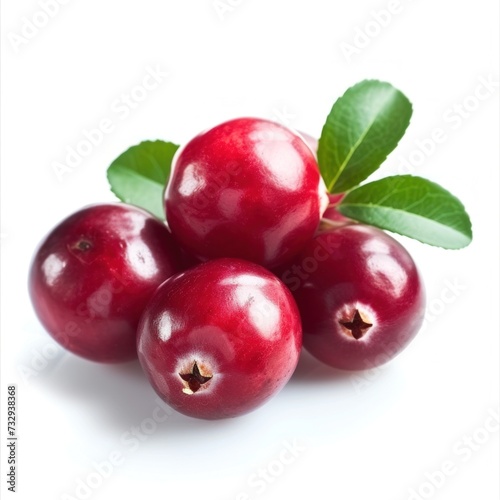 cranberry  isolated on white background