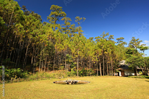 View of Pa-Son Watchan or FIO Watchan (Forest Industry Organization) Galyani Vadhana district. Chiang Mai, Thailand  photo