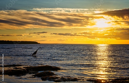 Heron stands in the shallow waters of the sea against the backdrop of a vibrant sky at sunset