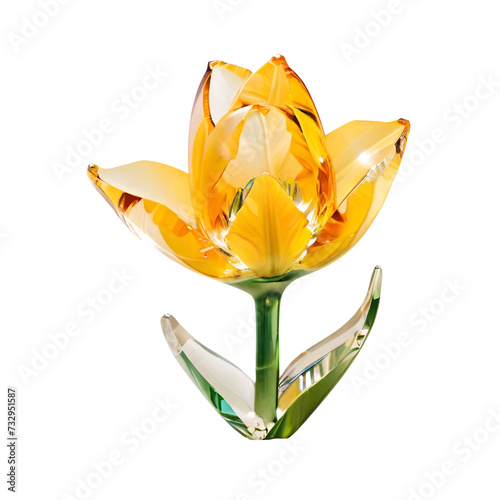 Beautiful tulip crystal illustration png. #732951587