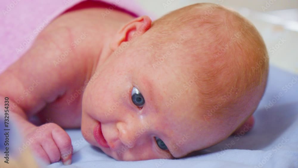 Portrait, a newborn baby exhibits his first moments of strength, delicately holding up his head. Portrait, a newborn baby exhibits his first moments of strength, delicately holding up his head.