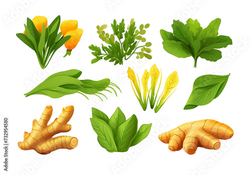 Set of turmeric, lemon, leaves, turmeric halberd, vector, transparent background photo