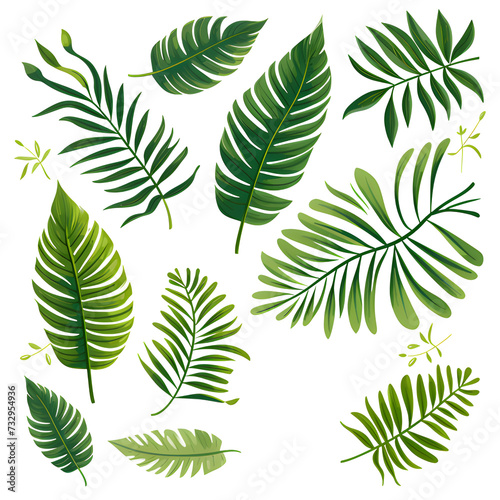 Set of tropical leaves, vector, watercolor, variety, ornamental, transparent background.