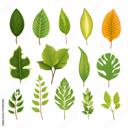 Set of tropical leaves, vector, watercolor, variety, ornamental, transparent background. © WITCHA