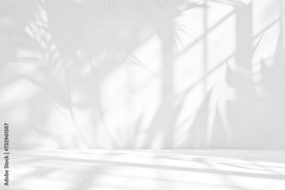 Abstract white wall with soft shadow of window and flowers and palm leaves background for product presentation or overlay design Abstract white wall with soft shadow of window and flowers and palm leaves background for product presentation or overlay design