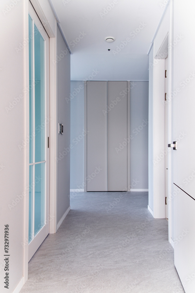 View of the corridor in the renovated apartment View of the corridor in the renovated apartment