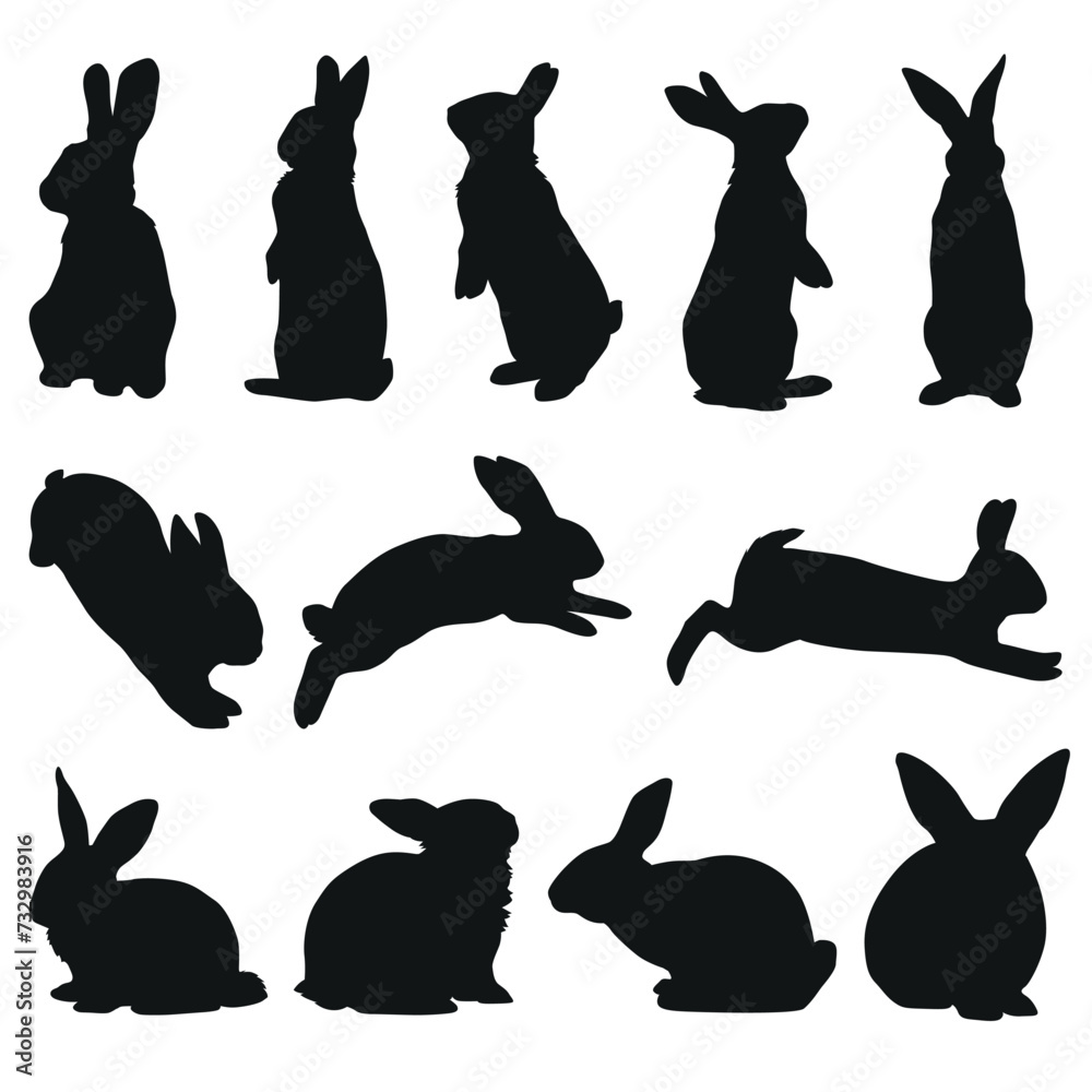 bunnies Silhouette collection