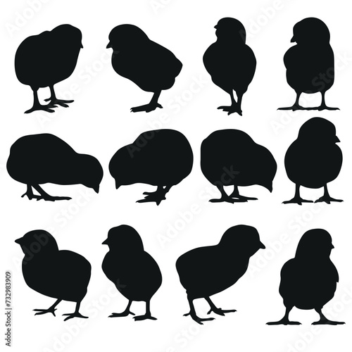 Little chicken Silhouette collection