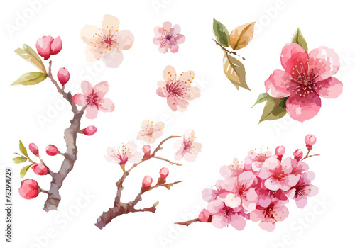 桜　水彩風イラストセット2