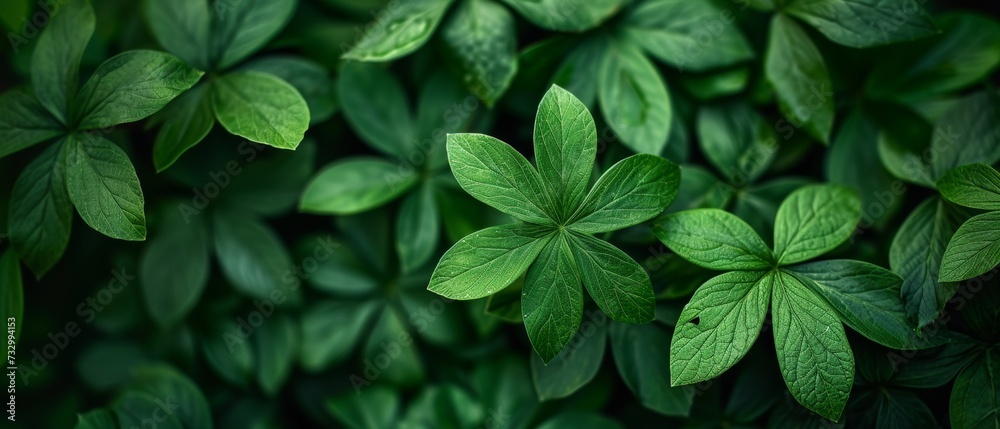 Green Foliage Nature Texture