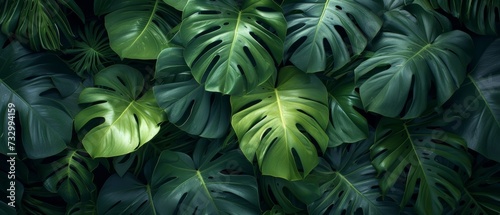 Exotic Tropical Leaves - Stylized