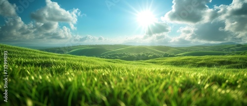 Natural Green Grass Landscape