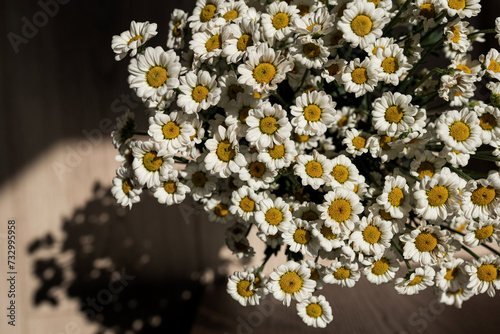 Fototapeta Naklejka Na Ścianę i Meble -  Chamomile daisy flowers. Floral composition.