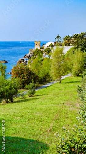 Genoa, Italy. View of the sea with a meadow in the Nervi Park in the foreground, with a tree-lined avenue. In the distance the Gropallo Tower overlooking the sea. Vertical image. 2023-10-06. photo