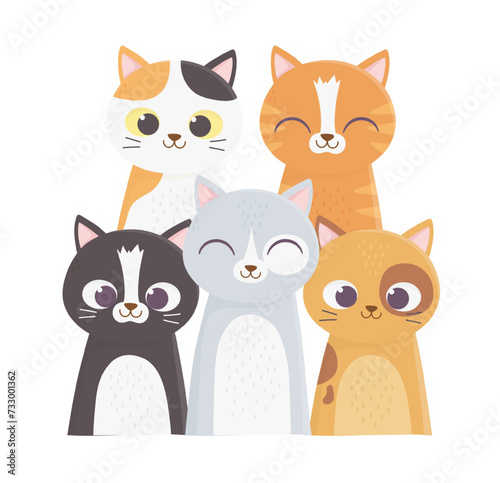 cats make me happy  many cats different breed cartoon vector