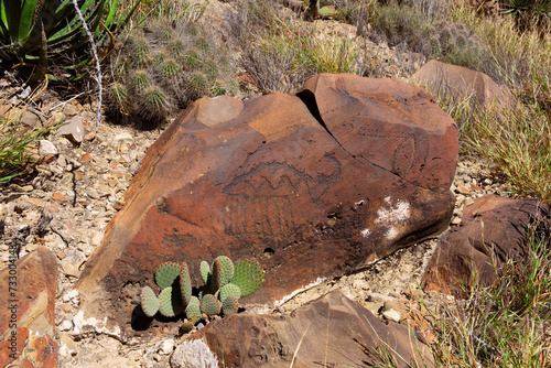 Archaeological Zone: Petroglyphs at Boca de Potrerillos, Nuevo León