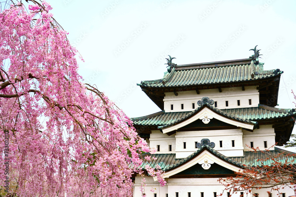 Cherry blossom blooming and Hirosaki castle in Spring of Hirosaki city, Japan. Cherry blossom blooming and Hirosaki castle in Spring of Hirosaki city, Japan.