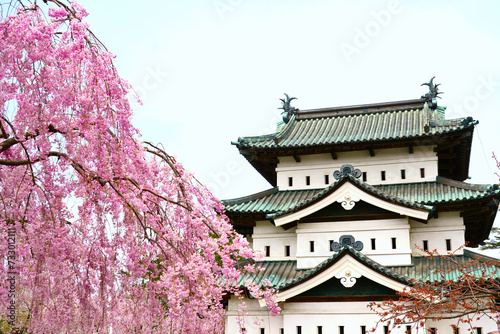 Cherry blossom blooming and Hirosaki castle in Spring of Hirosaki city, Japan.