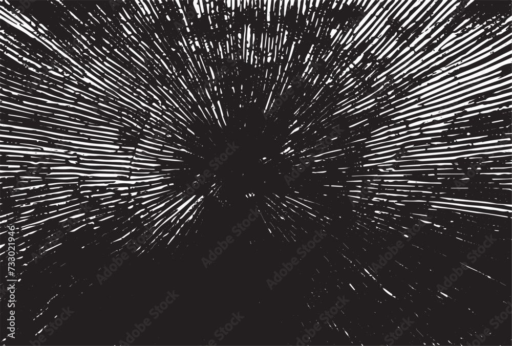 Obraz premium Old cracked stump closeup in sunny day