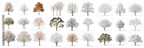 Set of 27 winter trees isolated on white background. Snowy tree collection.
