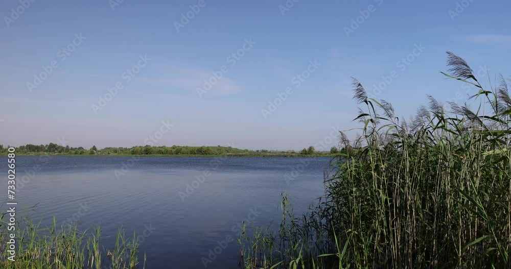 river, water with waves in the river with green grass growing on the river bank river, water with waves in the river with green grass growing on the river bank