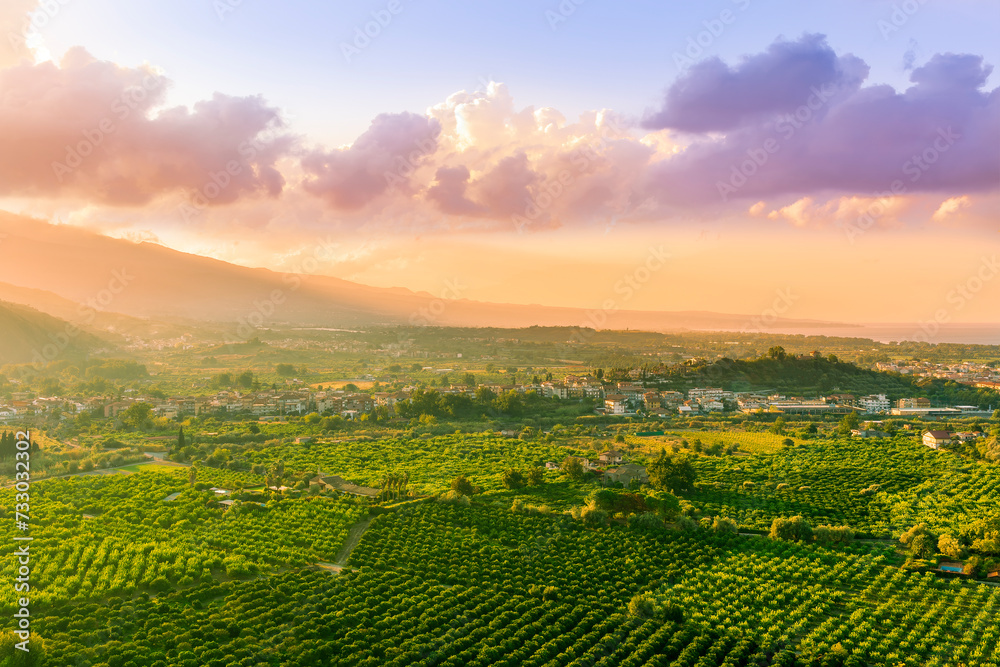 green beautiful valley with gardens and plantations and amazing mountains on background during sunset or sunrise