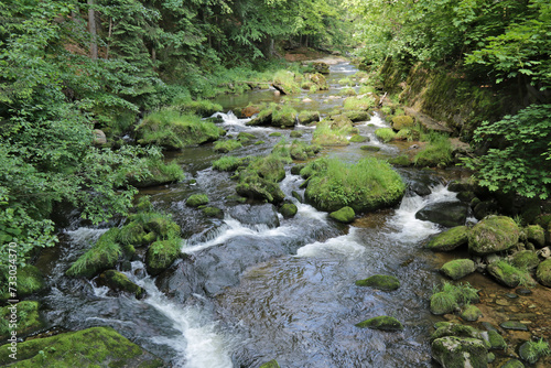 kleiner Bach im Gebirge