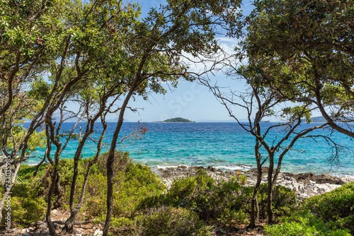 Fototapeta Naklejka Na Ścianę i Meble -  Trees on rocky coast with turquoise sea on a sunny summer day on Badija island, Korcula, Croatia