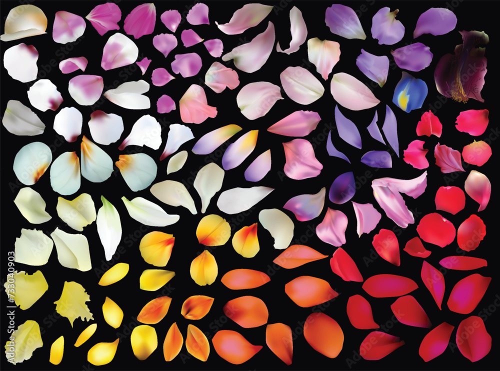 flowers petals huge collection on black flowers petals huge collection on black