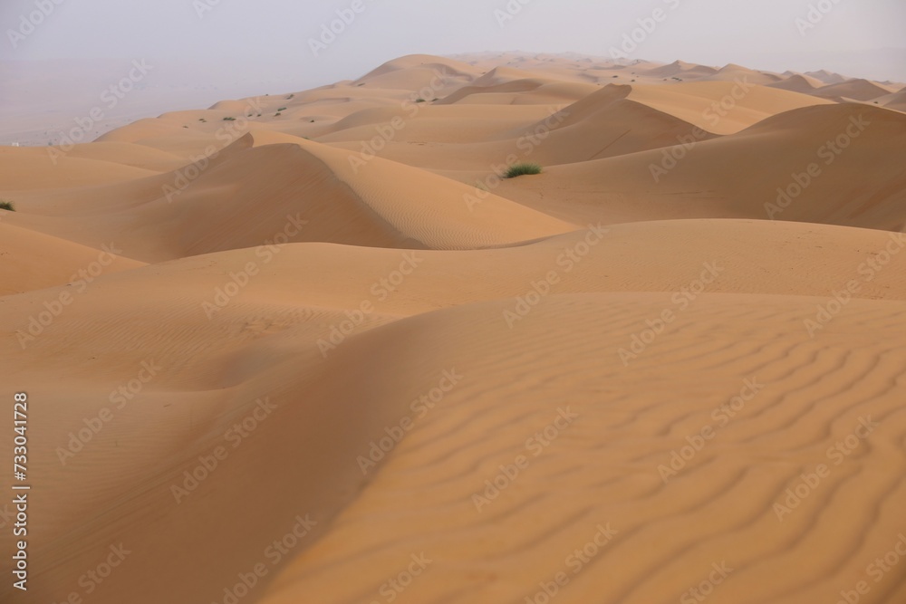 Wahiba Sands Desert in Oman