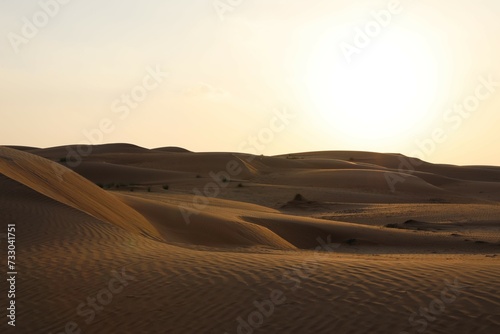 Wahiba Sands Desert in Oman