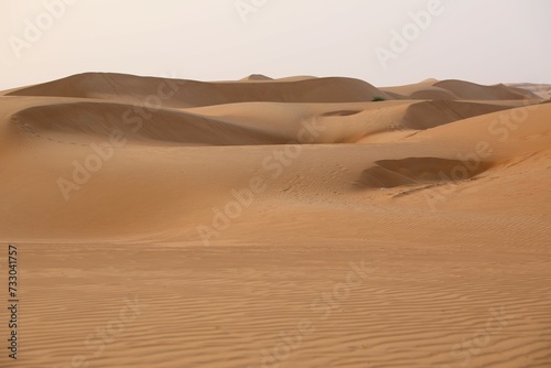 Wahiba Sands Desert in Oman