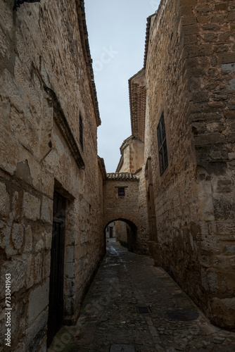 Street in the old town of the city of Baeza  by the Cathedral  in the province of Jaen  Spain. In 2003  UNESCO declared the historic centre and landmarks of the city a World Heritage Site