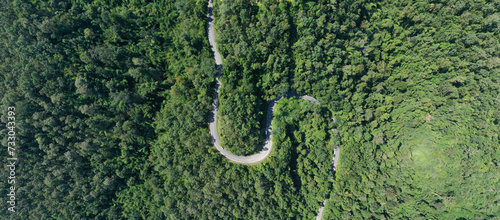 Aerial view of road in the middle of the forest in rainy day in spring, Beautiful travel road curve construction up to mountain roadway and trees, landscape with green foliage in empty asphalt road. photo