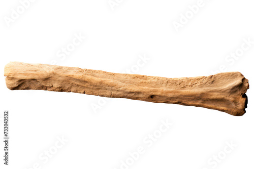 archaeological bone isolated on transparent background, png file