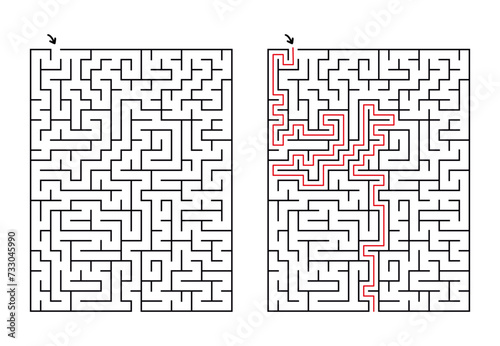 Intricate Maze game with solution. Vector illustration presents a challenging maze perfect for adults or older children.