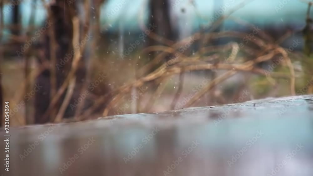 Close-up of drops and streams of rain falling on the ground on the background of a spring garden. Close-up of drops and streams of rain falling on the ground on the background of a spring garden.
