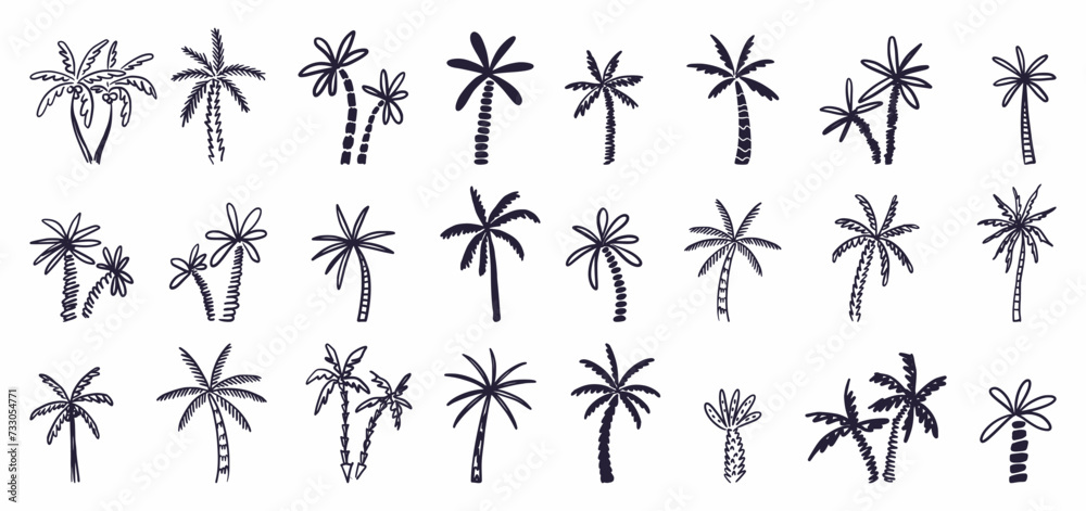 Fototapeta premium Vector collection of palm trees, hand-drawn in the style of doodles
