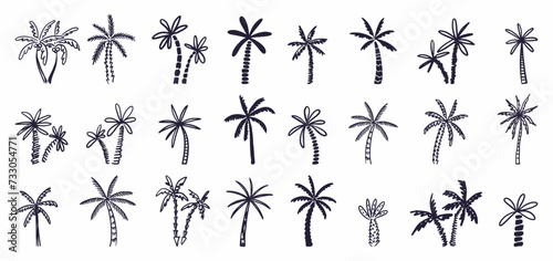 Vector collection of palm trees, hand-drawn in the style of doodles photo