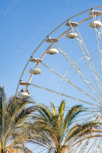 Palm Tree by Tourist Ferris Wheel in Côte d'Azur