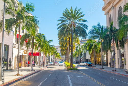 Obraz na płótnie Stores and palm trees in world famous Rodeo Drive in Beverly Hills w salonie