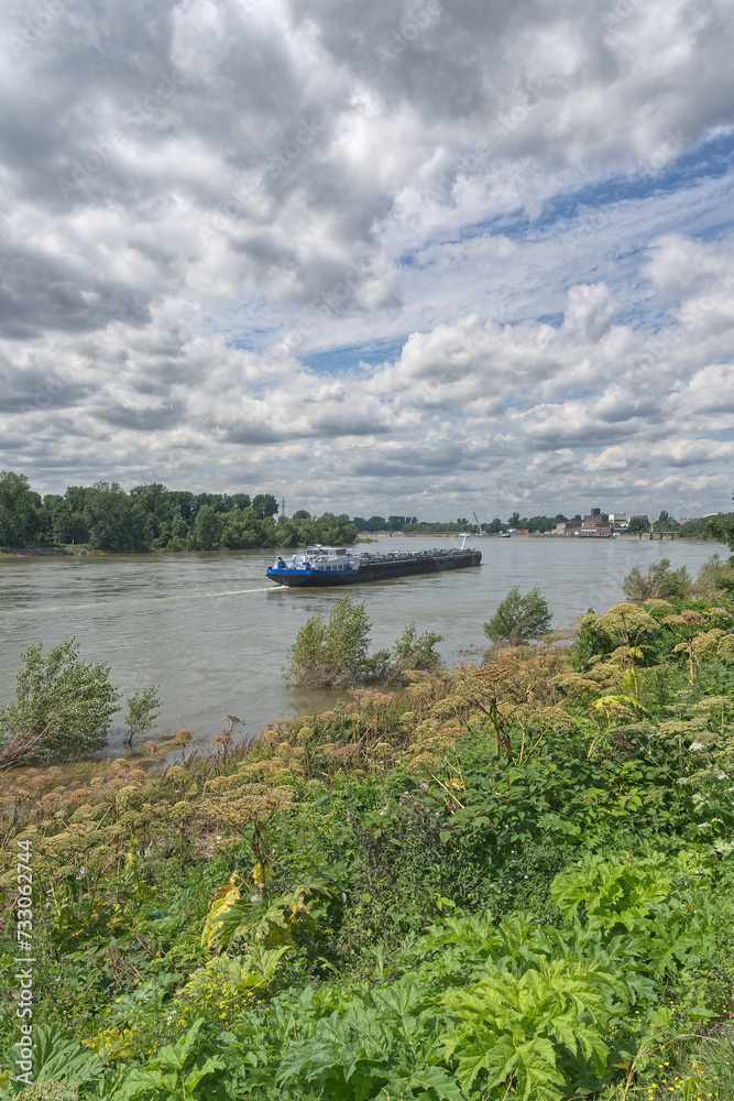 Obraz premium Cargo Ship on Rhine River in Düsseldorf-Benrath,North Rhine Westphalia,Germany