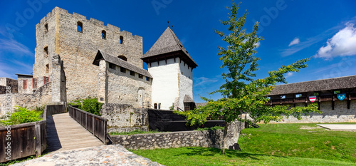 Vászonkép Celje castle