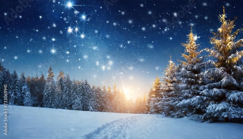christmas background with stars and trees in winter forest © Richard