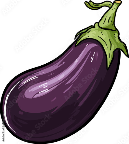 eggplant vector illustration isolated on transparent background. 
