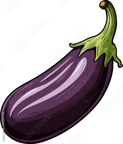 eggplant vector illustration isolated on transparent background. 
